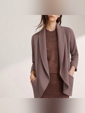 Wilfred Chevalier Blazer in Mauve Aritzia